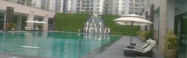 Images